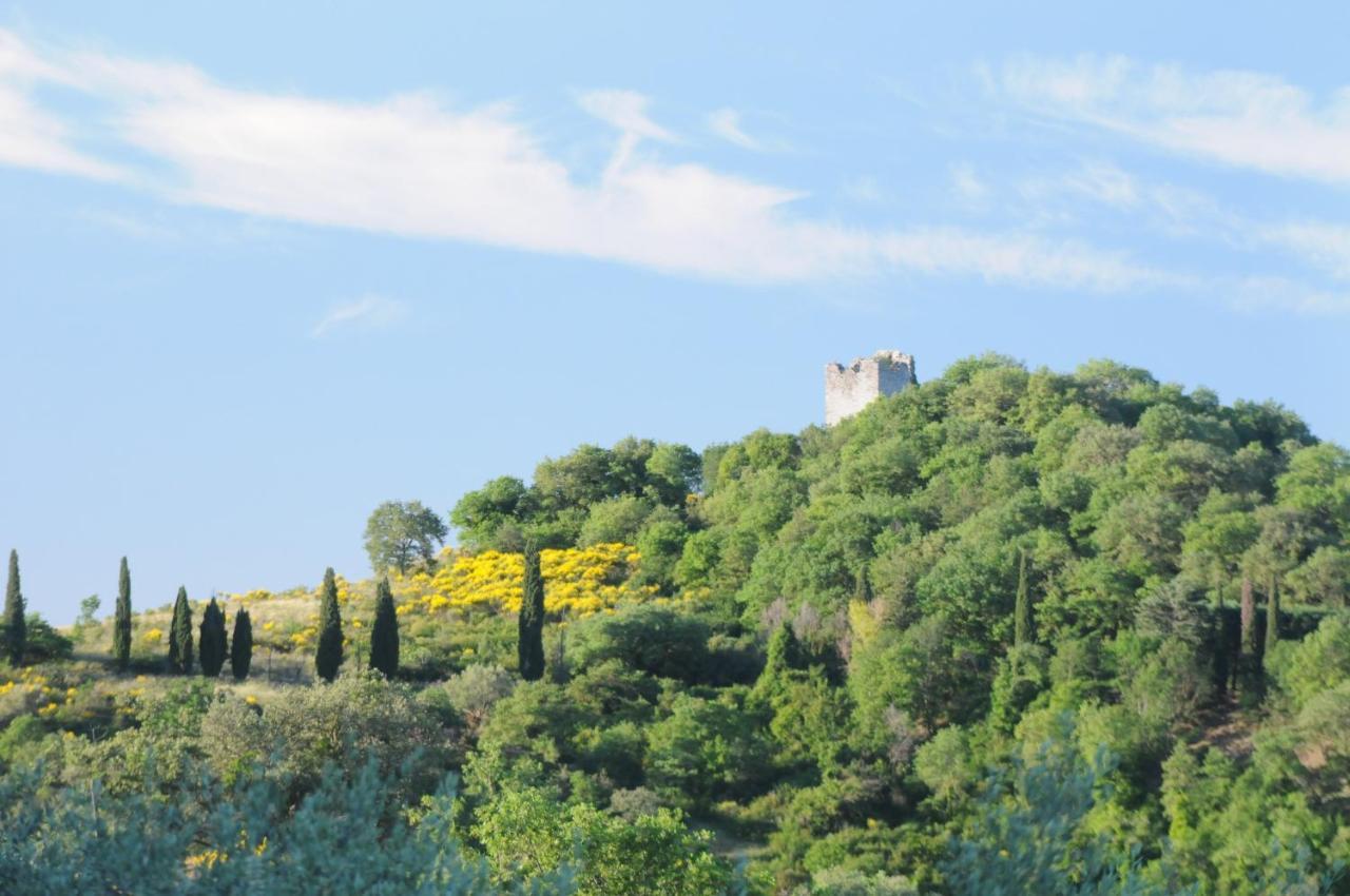 פסיניאנו סול טרסימנו Agriturismo Panorama Sul Lago מראה חיצוני תמונה